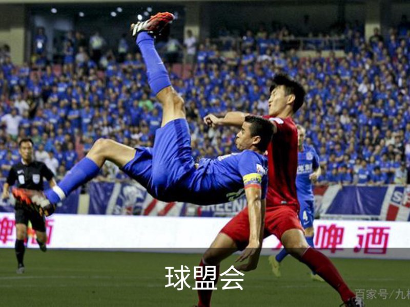 球盟会介绍